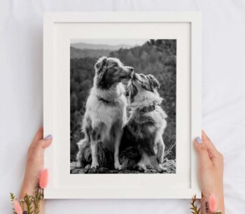 frame mockup, picture frame mockup free